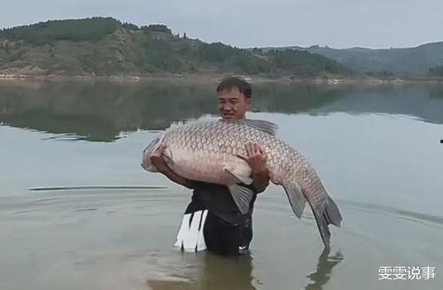 青鱼视频国产在线,国产在线影视盛宴，尽享视听盛宴-第2张图片-今日吃瓜4